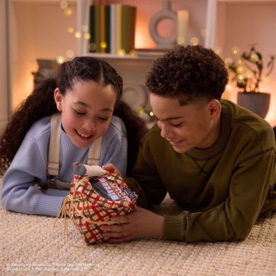 Інтерактивна іграшка з віртуальними цифровими героями BITZEE ГАРРІ ПОТТЕР 6076508