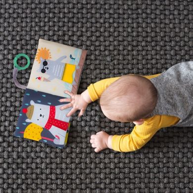 Розвивальна книжка для коляски Taf Toys Що одягне ведмедик Пол 12605, Блакитний