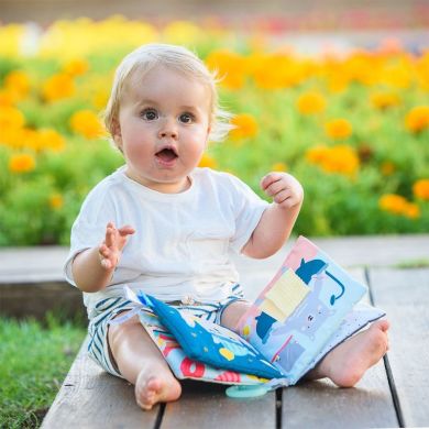 Развивающая книжка для коляски Taf Toys Что наденет мишка Пол 12605, Голубой