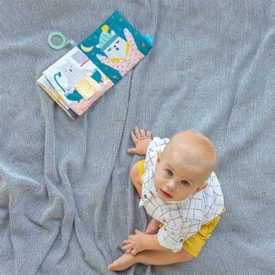 Развивающая книжка для коляски Taf Toys Что наденет мишка Пол 12605, Голубой
