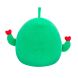 М'яка іграшка Squishmallows &ndash; Друзі Кактуси (2 шт, 19 cm)