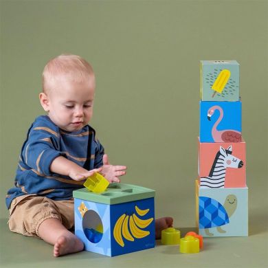 Розвиваючий сортер-пірамідка колекції Саванна Кубики Африка Taf Toys 12725