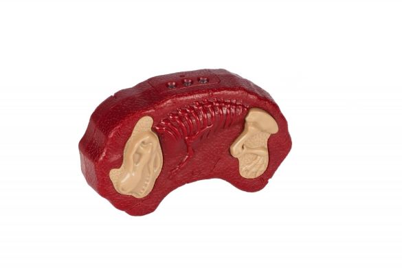Динозавр Same Toy Dinosaur Planet Дракон красный со светом и звуком RS6139AUt