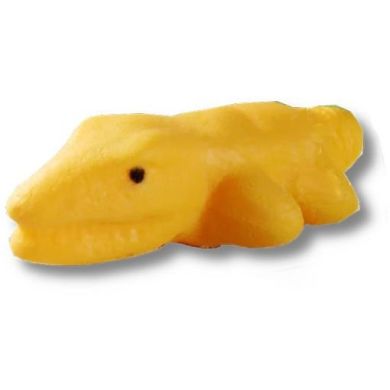 Растущая игрушка в яйце Dino Eggs Динозавры неба, земли, моря в ассортименте T027-2019