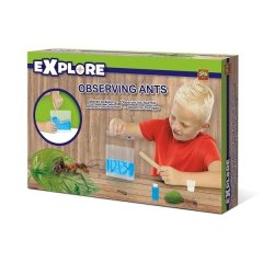 Игровой набор для юного зоолога Ses Creative Муравьиная ферма 25084S