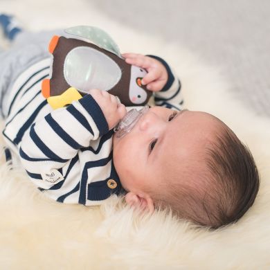 Развивающая игрушка-подвеска Taf Toys Полярное сияние Принц-пингвинчик 12305, Серый