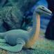 Стретч-игрушка в виде животного серии LEGEND OF ANIMALS МОРСКИЕ ДОИСТОРИЧЕСКИЕ Хищники (в диспл.) 128/CN22
