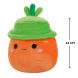 М'яка іграшка Squishmallows - Морквина Кароліна в капелюсі (13 cm)