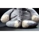М'яка іграшка Sigikid Beasts Слон 31.5 см 38716SK
