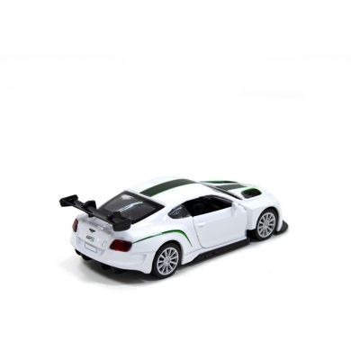 Автомодель BENTLEY CONTINENTAL GT3 (белый) TechnoDrive 250258
