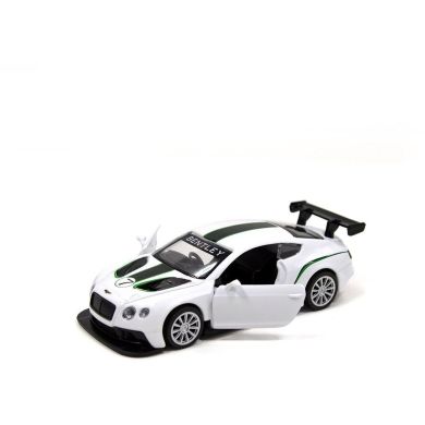 Автомодель BENTLEY CONTINENTAL GT3 (белый) TechnoDrive 250258