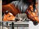 Набор для творчества Sequin Art Painting By Numbers Senior Stable Dooor Trio SA1523