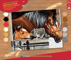 Набор для творчества Sequin Art Painting By Numbers Senior Stable Dooor Trio SA1523