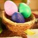 Іграшка, що зростає, в яйці «Eggy Animals» ПТАШКИ (у дисплеї) 91/CN22